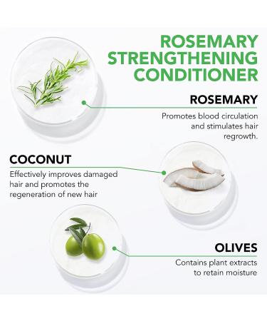 Rosemary Strengthening Conditioner with Biotin - 10.56 fl.oz - Hydrating Deep Conditioner for Dry, Damaged Hair - Promotes Growth & Scalp Health - Buy Online on SooperMarket.com