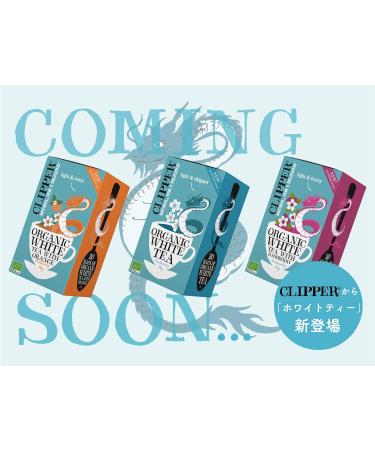 Clipper Organic After Dinner Mint & Fennel Tea Bags | 20 Infusion Peppermint & Fennel Sachets | Caffeine Free Teabags | Eco-Conscious Herbal Tea Bags | Natural Unbleached Plant-Based & Biodegradable Pack of 3 - Buy Online on SooperMarket.com