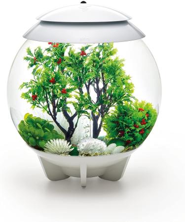 Buy Biorb 55028 Winter Decor Set 30L - Realistic Aquatic Plants Roots & Stones for Freshwater & Saltwater Aquariums - Buy Online on SooperMarket.com
