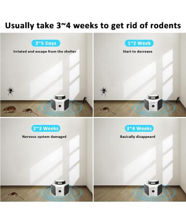 Careland Ultrasonic Pest Repeller 4-in-1 | Squirrel & Rodent Repellent with Ultrasound Waves and LED Strobe Lights | Indoor Mouse Deterrent - Buy Online on SooperMarket.com
