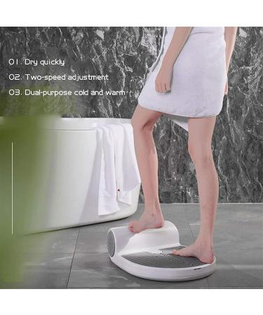 Body Heater Blow Dryer Negative Ions Warm Cold Wind Body Dryer Quick Drying for Hotel (US Plug 110V) - Buy Online on SooperMarket.com