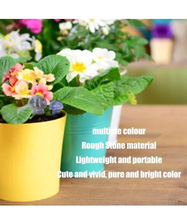 CHICIRIS Mini Sponge Crystals - 32pcs Mixed Color Cute Crystal Sponges for Yoga & Meditation - Buy Online Internationally - Buy Online on SooperMarket.com