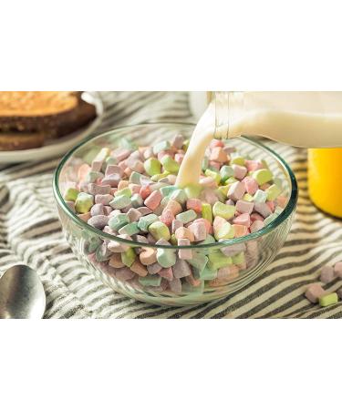 Sarah's Candy Factory Dehydrated Marshmallow Bits 1lb Jar - Assorted Flavors - Buy Online on SooperMarket.com
