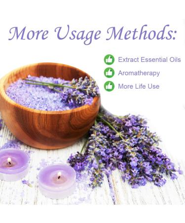 Buy 100% Pure Natural Dried Lavender Tea - Premium Lavender Buds 50g for Baking & Baths - Buy Online on SooperMarket.com