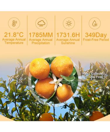 Buy Tangerine Peel Tea 80g - Dried Orange Peel Herbal Tea Rich in Antioxidants & Vitamin C | International Shipping - Buy Online on SooperMarket.com