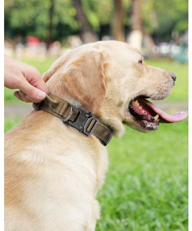 Joyal Tactical Dog Collar | Adjustable Dog Collar with Handle for Medium-Sized Dogs | QR Code Feature | Durable Khaki Design - Buy Online on SooperMarket.com