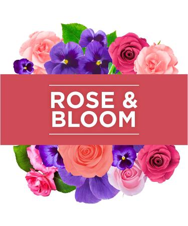 Glade PlugIns Rose & Bloom Air Freshener Refills - 5 Count Pack, 3.35 Fl Oz - Scented Essential Oils for Home & Bathroom - Buy Online on SooperMarket.com