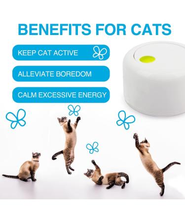 Interactive Cat Toy - All For Paws Flutter Bug Wand with Motion-Activated Butter-fly - Buy Online on SooperMarket.com