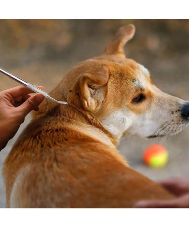 AFTREN Tick Remover Pet Care Tool Set Flea Comb Real Bamboo Contour Grip Handle Dogs Cats Horses 5 Pcs Stainless Steel Fleas Ticks Remover Kit - Buy Online on SooperMarket.com