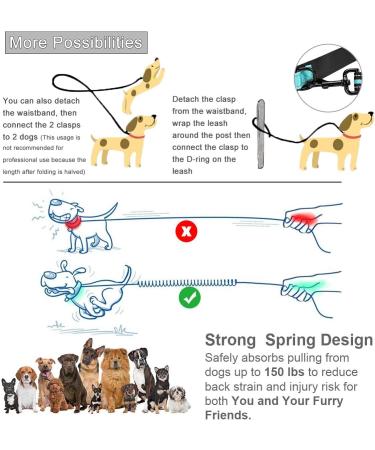 Philorn Hands Free Dog Lead with Phone Pouch - Running/Jogging Leash, Shock Absorbing Bungee, Reflective Stitching, Blue - Buy Online on SooperMarket.com