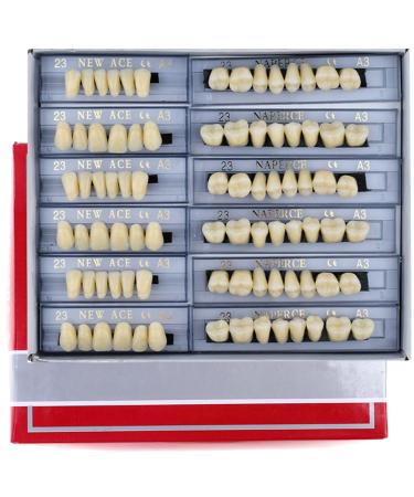 168 Pieces False Teeth Dental Complete Acrylic Resin Denture Teeth  6 Sets Whole Teeth Synthetic Polymer Denture Tooth  23 Shade A3 Upper + Lower Dental Materials for Replacement  DIY  or Halloween