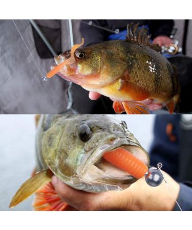 Goture Round Jig Head Hooks 1/4oz 50 Pack for Freshwater and Saltwater Fishing | Pro Swimbait Jig Heads in Fishing Box for Trout, Bass, Crappie - Buy Online on SooperMarket.com
