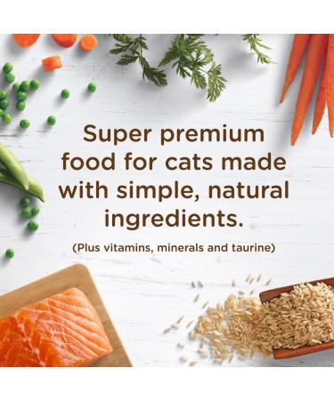 Rachael Ray Nutrish Salmon & Brown Rice Dry Cat Food 3lb - Premium Natural Formula - Buy Online on SooperMarket.com