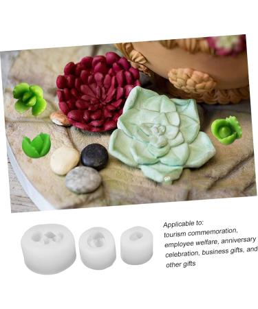 3pcs Silicone Mold Candle Molds Soap Mold Simulation Succulent Plants Molds Aromatherapy Candle Mold Handmade Soap Making Mold Scented Candle Mold Silica Gel Epoxy Abrasives Transparent 4.9X4.5X2.9CM - Buy Online on SooperMarket.com