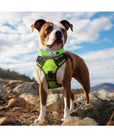 Joytale Neoprene Dog Collar for Medium Dogs - Softly Padded Reflective Green - Durable Nylon Ideal for Safe Walks (1 Pack) - Buy Online on SooperMarket.com