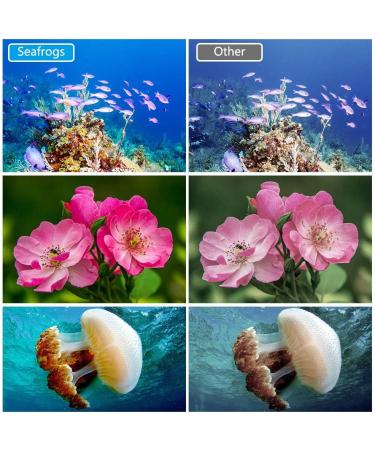 Seafrogs 328FT RGB Diving Video Light for Sony Olympus Nikon Canon Fujifilm Cameras (SF-L02) - Buy Online on SooperMarket.com
