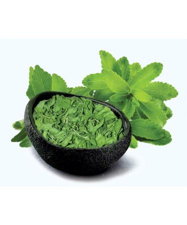 QURA Stevia Leaves (Dried) -100 GM - Buy Online on SooperMarket.com