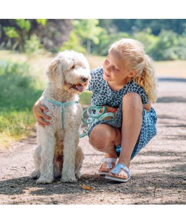 Nobby Leash Soft Grip - Fuchsia/Black 200 cm L 20 mm W | Premium Dog Leash for Comfortable Walks - Buy Online on SooperMarket.com