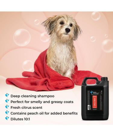 GROOM PROFESSIONAL Citrus Shine Dog Shampoo 4L - Deep Cleansing & Deodorizing Formula with Peach Oil for Greasy Coats - Fresh Citrus Scent - Ideal for Smelly Dogs - Buy Online on SooperMarket.com