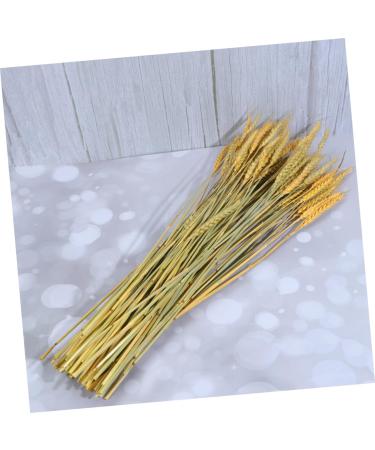 Zerodeko Natural Wheat 1 Decor Simulation Wheat Dried Wheat Rural Wheat Dried Flowers Natural Decorative Wheat - Buy Online on SooperMarket.com