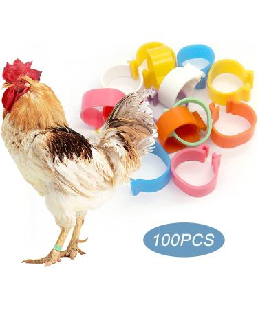 100 Bird Identification Rings - Pigeon Footrings Parrot Leg Bands & Poultry Marking Tape - 8mm Clamping Rings for Chickens Quail & More - Buy Online on SooperMarket.com