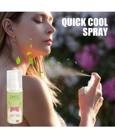 Cool Down Spray - Instant Cooling Spray Reduce Skin Temperature Small Spray | 80ml Waters Peppermint Cooling Spray Mist Lightweight Skin Refreshing Sprayer for Men Women Outdoor Activities - Buy Online on SooperMarket.com