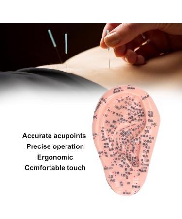 6.7 inch Silicone Ear Acupuncture Model - Ideal for Acupoint Learning & Home Care - Buy Online on SooperMarket.com