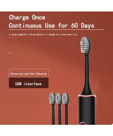 ELEWealth Sonic Electric Toothbrush - 18 Gear, 6 Modes, 2-Minute Timer, IPX7 Waterproof, USB Charging - Black - Buy Online on SooperMarket.com