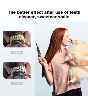 Dog Teeth Cleaning Tools with LED Light 3 Modes Dog Plaque Tartar Remover for Teeth Detachable Teeth Cleaning Kit for Dogs Cats Grey - Buy Online on SooperMarket.com