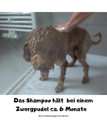 Moki B r Dog Shampoo with Argan Oil | Smooth Fur & Easy Combing | Made in Germany 250ml | International Shipping - Buy Online on SooperMarket.com