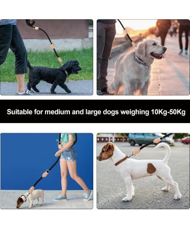 2m Dog Leash with Carabiners | Durable Nylon Training Line for Small Medium & Large Dogs - Adjustable & Portable (Red) - Buy Online on SooperMarket.com