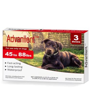Natural Spot on Flea and Tick Treatment for Dogs Flea and Tick Prevention for Dogs Dog Flea Treatment Fast Acting & Waterproof 3 Pipettes 21-40kg Large Dogs