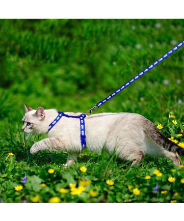 Adjustable Nylon Cat Leash (2 Pieces) - Soft Leash for Kittens Puppies & Rabbits | Marienk fer Print | Black & Blue - Buy Online on SooperMarket.com