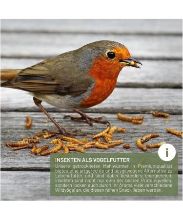 Buy Wild Animal Love Noble Mealworms 5L | Dried Mealworms for Birds & Hedgehogs | Premium Insect Food for Garden Birds - Buy Online on SooperMarket.com