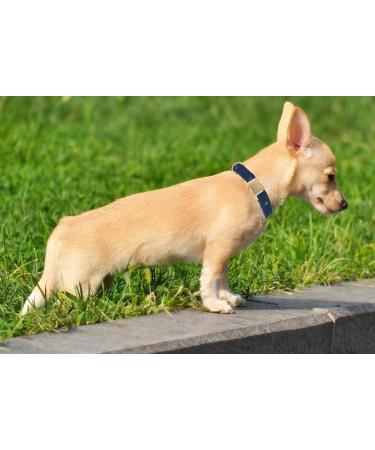 Yudote Soft Dog Collar for Sensitive Skin | Natural Cotton Fabric | Oxford Blue | Ideal for Small Calm Dogs - Buy Online on SooperMarket.com