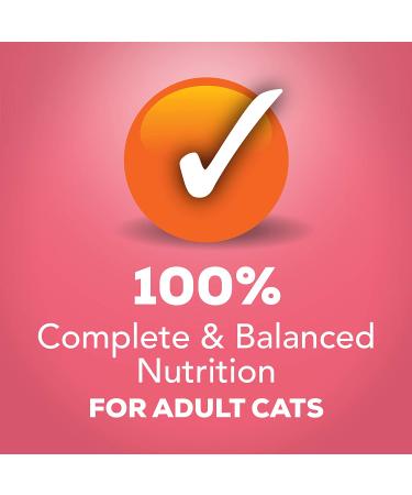 Purina Friskies Extra Gravy Salmon Pate Wet Cat Food 5.5 oz. Cans (Pack of 24) - Buy Online on SooperMarket.com