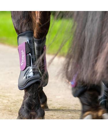 Shires Arma Tendon Boots - Black/Plum Full - Buy Online on SooperMarket.com
