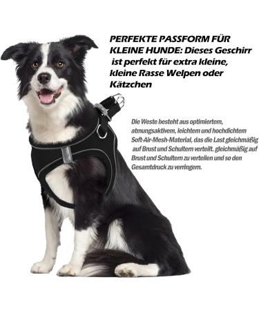 Shop Small Dog Harness & Puppy Dishes - Curli Harnesses & Catware for XS Dogs - Buy Online on SooperMarket.com