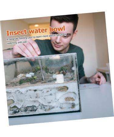 BESPORTBLE 2pcs Ant Water Feeder Mini Ant Feeder Ant Water Feeding Bowl Insect Water Feeder Transparent Acrylic - Buy Online on SooperMarket.com