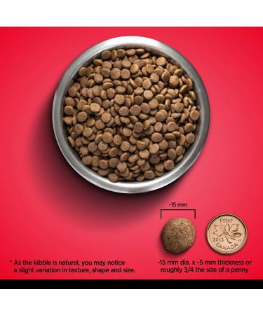 Zoe Grain Free Dog Food All Breed & Life Stages Beef with Peas & Pumpkin Recipe 5 kg Beef 5 kg (Pack of 1) - Buy Online on SooperMarket.com