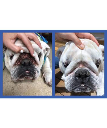 Squishface Wrinkle Wipes 6x8 Large Chlorhexidine Dog Wipes - Anti-Itch, Deodorizing, Tear Stain Remover for English Bulldog, Pugs, Frenchie, Bulldogs & More! - Buy Online on SooperMarket.com