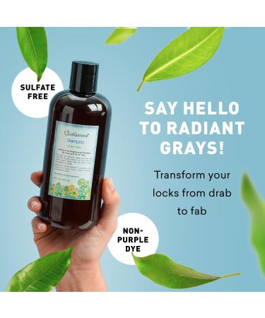 Just Nutritive Gray Hair Shampoo - 16 Fl Oz. - Buy Online on SooperMarket.com