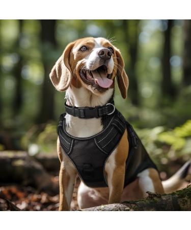 Joytale Reflective Dog Collar for Large Dogs - Black Size L | Adjustable & Durable Perfect for Outdoor Safety (Pack of 1) - Buy Online on SooperMarket.com