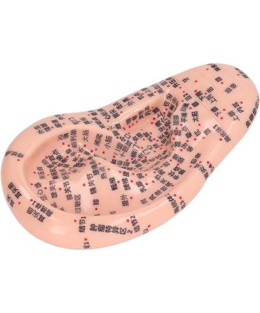 6.7 inch Silicone Ear Acupuncture Model - Ideal for Acupoint Learning & Home Care - Buy Online on SooperMarket.com