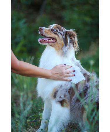 Earthbath Green Tea & Awapuhi Pet Grooming Wipes with Aloe Vera & Vitamin E - 100 Count (2 Pack) - Ideal for Dogs & Cats - Clean Dirty Paws and Undercoat Safely - Buy Online on SooperMarket.com