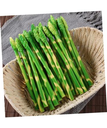 HOMSFOU 20 Pcs Simulated Asparagus Ornaments Pretend Play Food Fake Bamboos Food Faux Veggies Fake Food Model Asparagus Models Simulated Food Artificial Asparagus Model Pvc Vegetable Plant Light Greenx2pcs 19X0.9CMx2pcs - Buy Online on SooperMarket.com