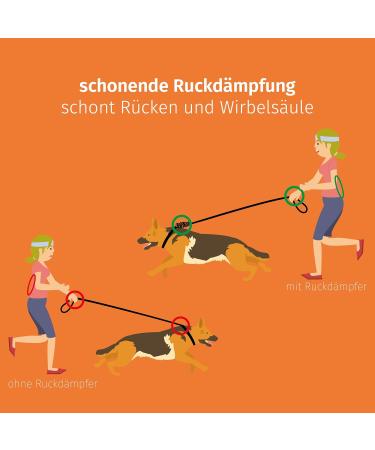 FLOXIK RUTICATIONS Elastic Slear for Medium-Sized Dogs | Bungee Leash Extension for Jogging Cycling & Walking - Black - Buy Online on SooperMarket.com