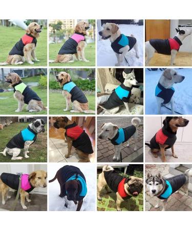 Warm Waterproof Purple Dog Coat for Small to Extra Large Dogs - Sizes S-7XL - Buy Online on SooperMarket.com