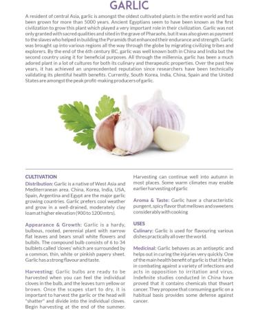 Mum's Premium Garlic Powder 150g - High-Quality Seasoning for Cooking - Buy Online on SooperMarket.com