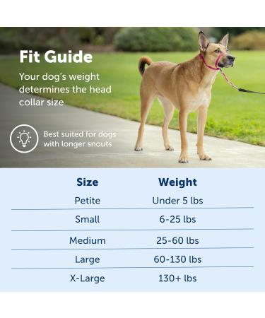 PetSafe Gentle Guide Collar - Beige Medium | Includes Training DVD | International Shipping - Buy Online on SooperMarket.com